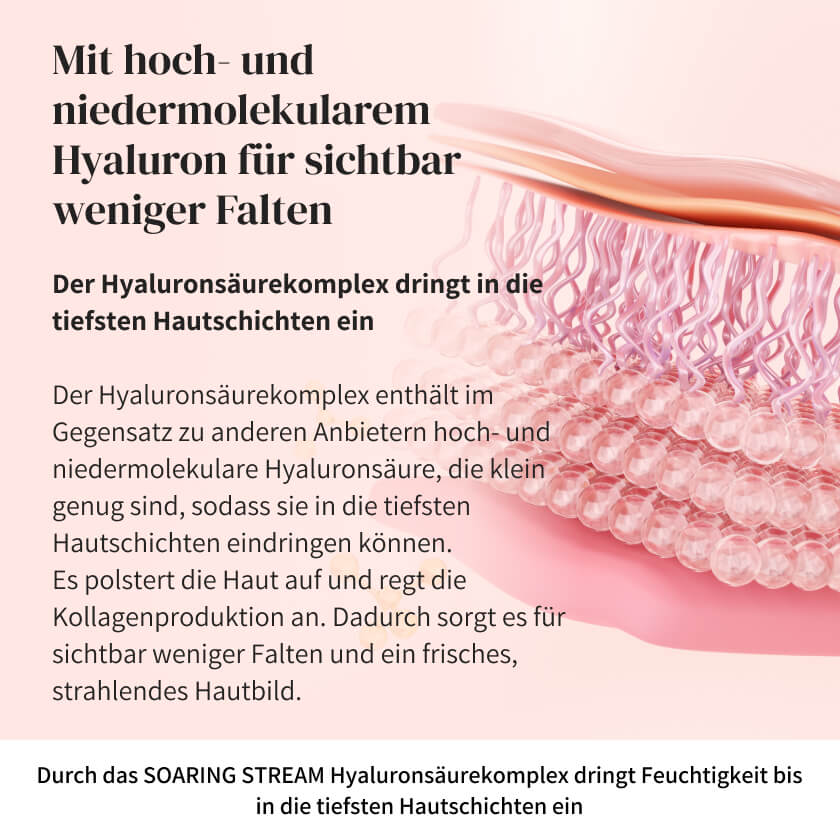 HYALURONSERUM SOARING STREAM (Angebot)