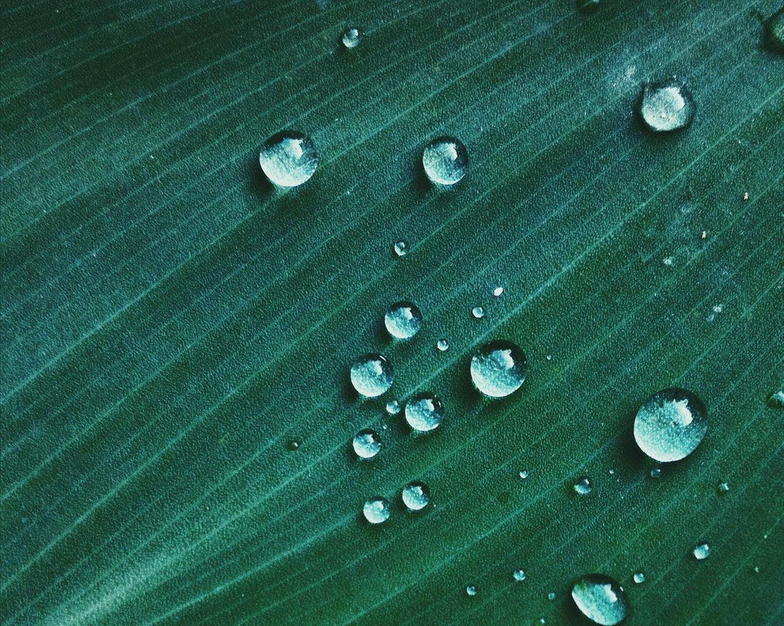 Hyaluronsäure: Das macht deine Haut schön!