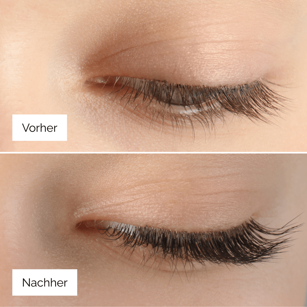 FLOURISHING FOREST (Angebot)