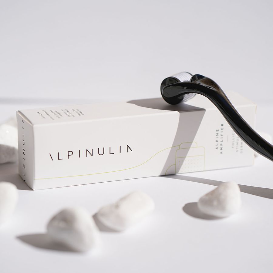 Alpine Amplifier